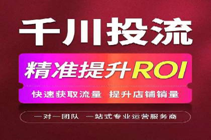 百度竞价赚钱攻略：实战案例分享